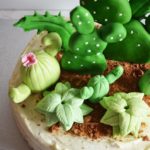 tort urodziny kaktus 3