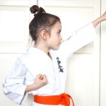karate 6